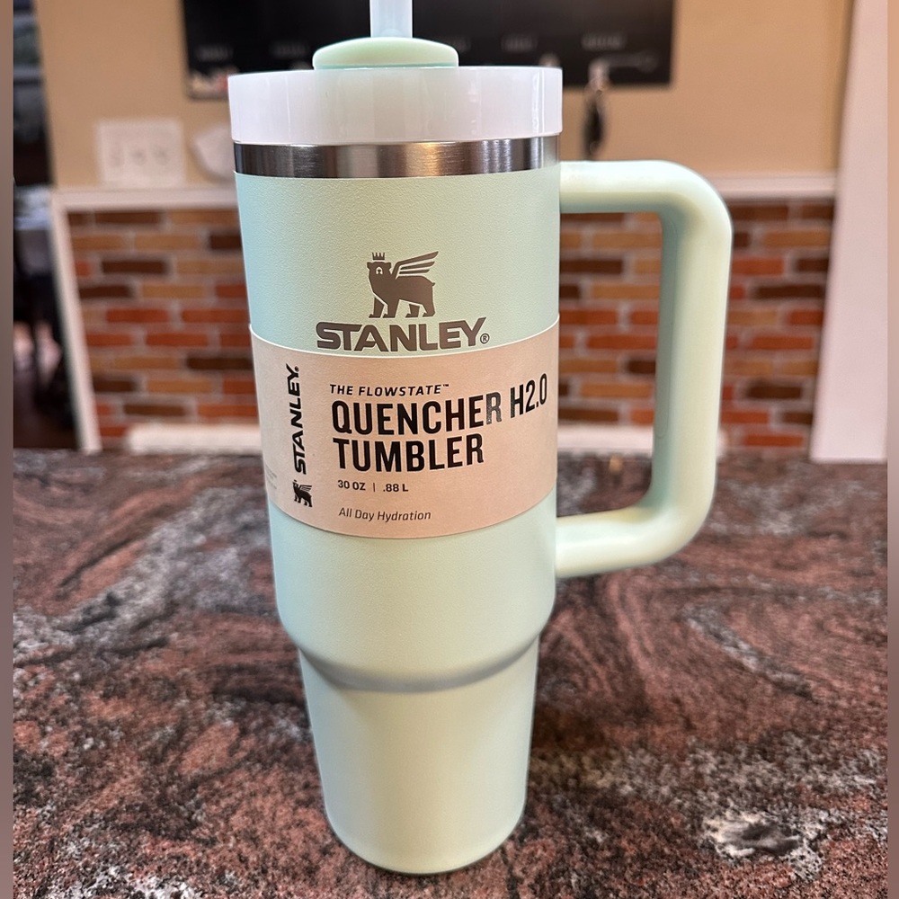 NWT Mint Stanley 30oz